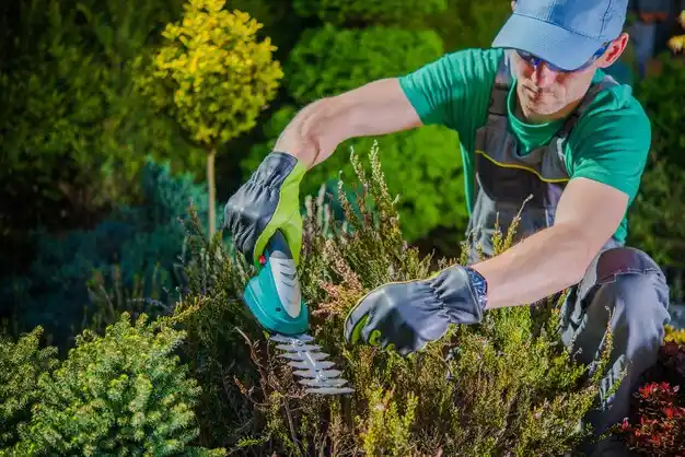 landscaping services Pellston